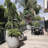 Dorlis Fiberstone Pot Planter-888476463-888476461