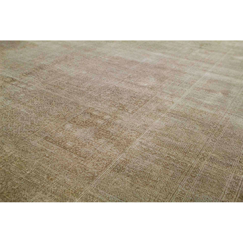 Oriental Area Rug in Beige