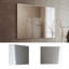 Neponset Glass Flat Wall Mirror