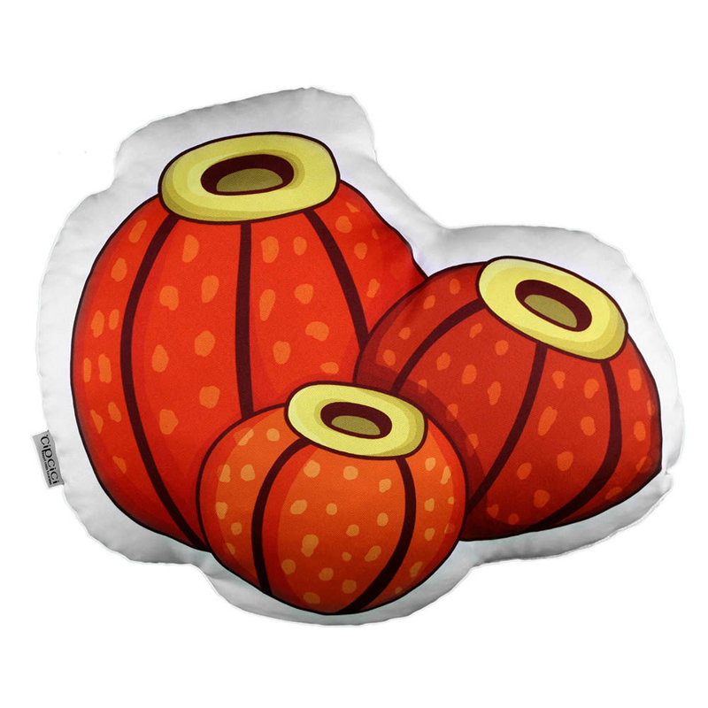 Reversible Throw Pillow