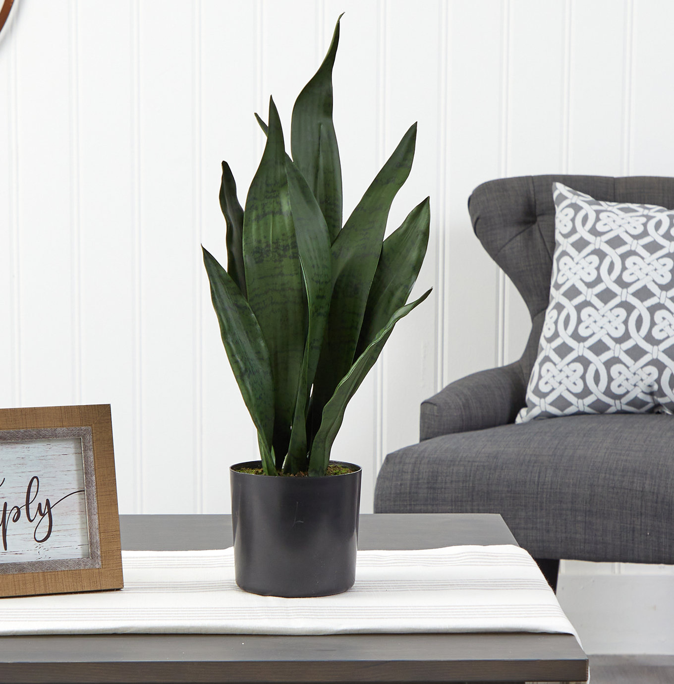 30" Snake Plant in Pot, 22" H x 5" W x 5" D, Green
