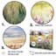 Ensemble de décoration murale Lavender Countryside Meadows - Orchidées-107765074-107765079