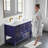 Thome 49'' Double Bathroom Vanity with Resin Top-550682000-550682001