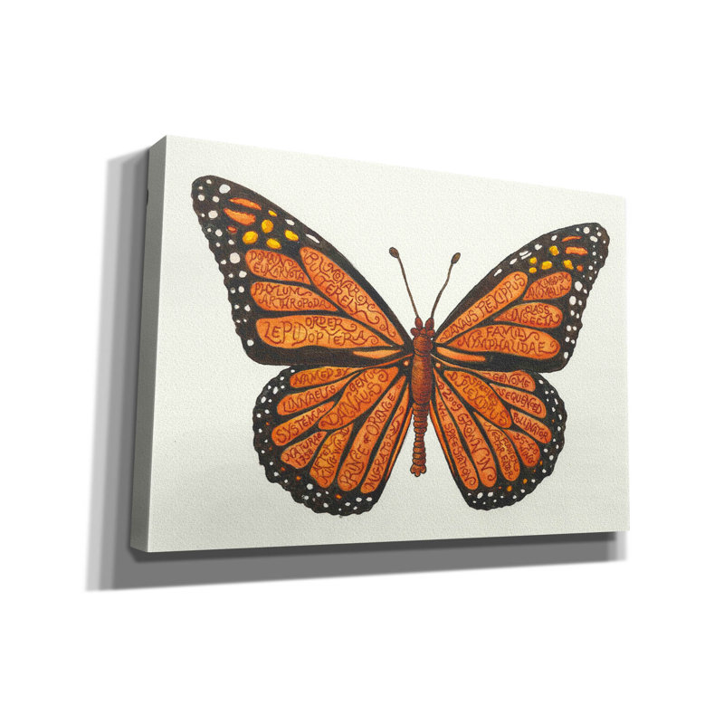 «Monarch Butterfly» par Andrea Strongwater, art mural sur toile, H 18 po x l 26 po x P 0,75 po