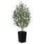 Adcock Faux Olive Tree with UV Protection, 2 Natural Tree Trunks, Large Decorative Potted Olive Tree-307165304-307165307