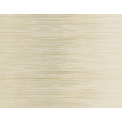 Rouleau de papier peint Abelardo Ombre L 27 pi x l 27 po