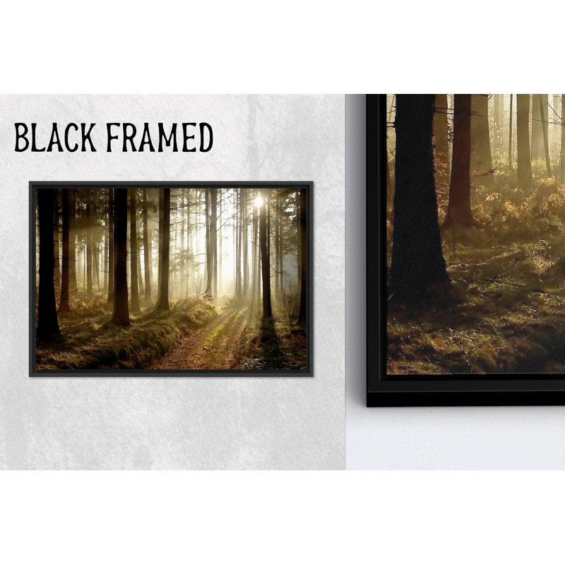 «Sunlight Forest», reproduction d'art sur toile, lumière dorée, art mural noir, 31,6 po H x 43,4 po l
