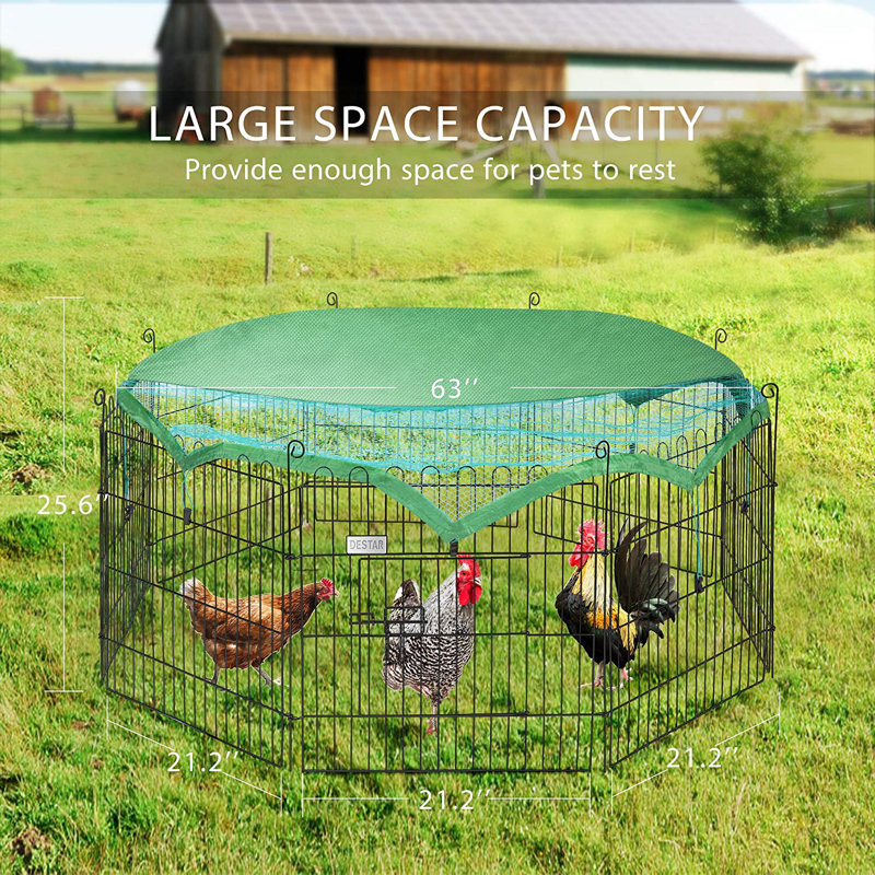 Dammian 1.5 ft² Chicken Run