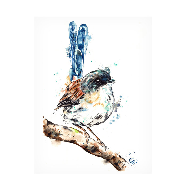Art sur toile Lisa Whitehouse Fairy Wren, H 19 po x l 14 po