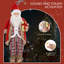 Christmas Decorative Accent