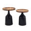 Ensemble de tables de bout en bois massif Chrystian