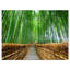 Path to Bamboo Forest - Reproduction de photo sur toile tendue-18436526-33284351