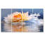 Rusnak - Lotus, art mural 4 pièces-106163038