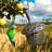 Brentan Metal Hanging Decorative Bird Feeder