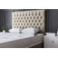Seraphine Chesterfield Divan Bed with Headboard-162651073-162651072
