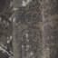 Tapis gris / ivoire Nemaha-954080349