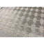 Area Rug in Gray