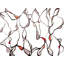 Musing Series 2.4 Print by Susan Arthur-65825896-65851209