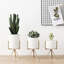 Romana Ceramic Pot Planter-1734709537-1734709539