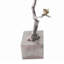 Branche décorative