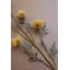  Fleur artificielle jaune 33 po L - Tige brillante à 5 fleurs, ensemble de 6-412530335