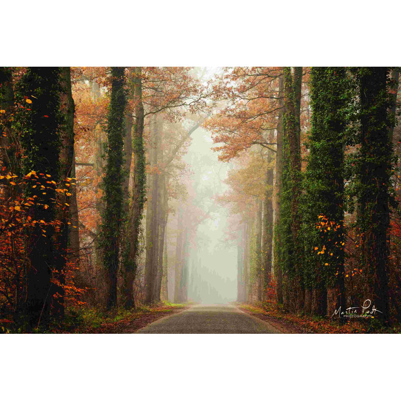 Route d'automne brumeuse, H 8 po x l 12 po, Non, Toile tendue