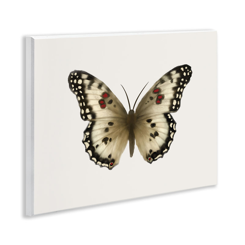 Art mural en forme de papillon symétrique brun clair par Elizabeth Medley