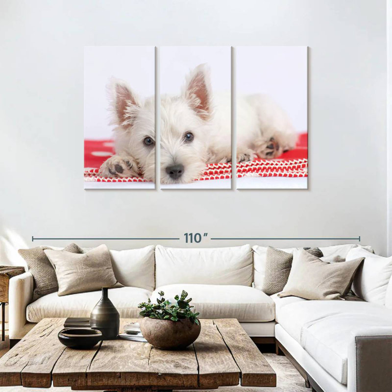 Brampt Blanco I, 48" H x 74" W