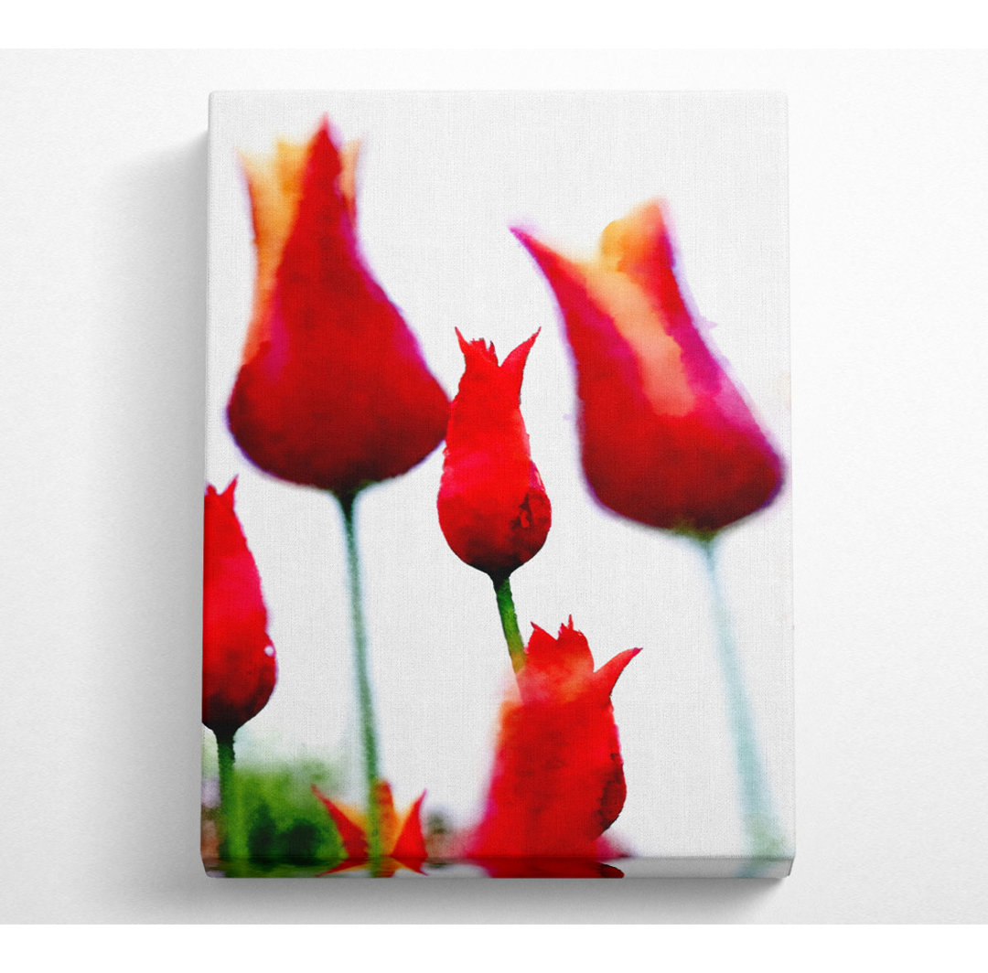 Rotes Feuer Tulpenfeld - Druck