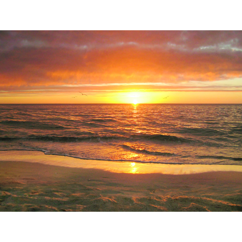 «Sunlight II» par Alan Giana - reproduction de photo, H 24 po x l 32 po x P 1,5 po, Toile tendue, Aucun mat