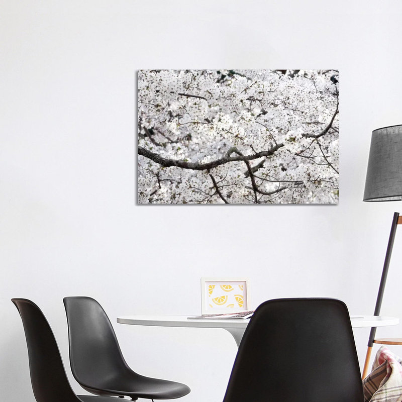 Sakura Cherry Blossom by Philippe Hugonnard - Wrapped Canvas Gallery-Wrapped Canvas Giclée