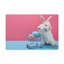 Wall Art on Canvas-2050132646