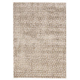 Mukherjee Abstract Gray/Brown Area Rug