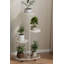 Iron 4 Tier Plant Stand