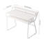 Steel Computer Desk