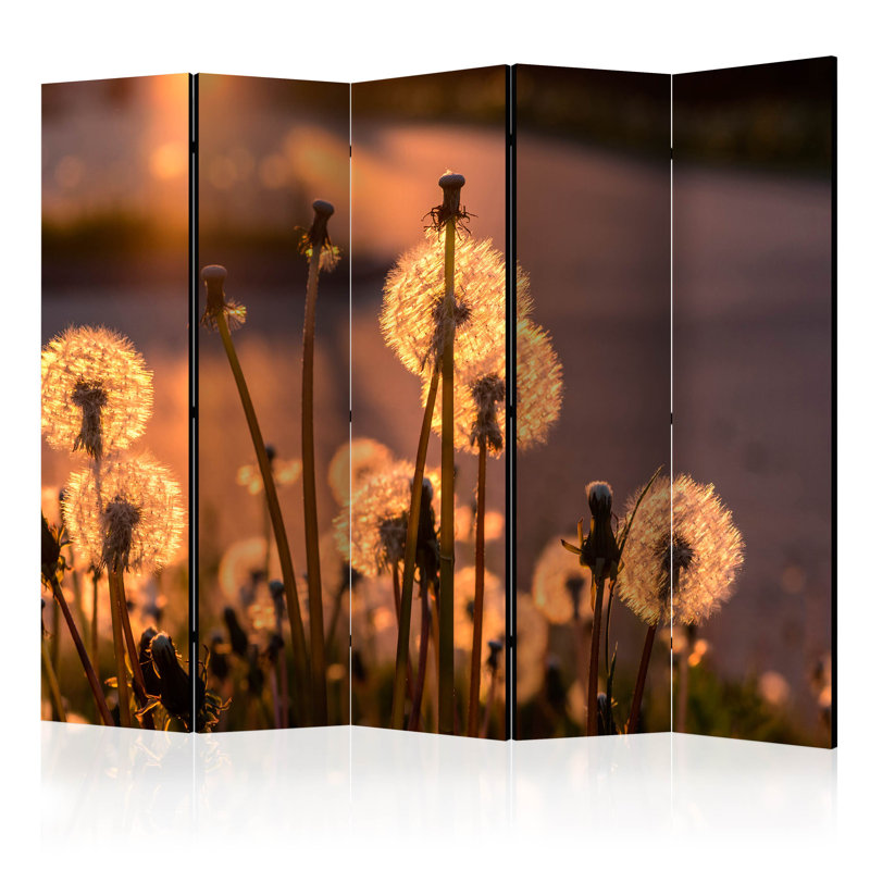 Omak Solid Wood Folding Room Divider, 5