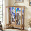 Armoire vitrée 2 portes avec portes en verre trempé avec panneau arrière en miroir et tablettes réglables-765925425-762185982