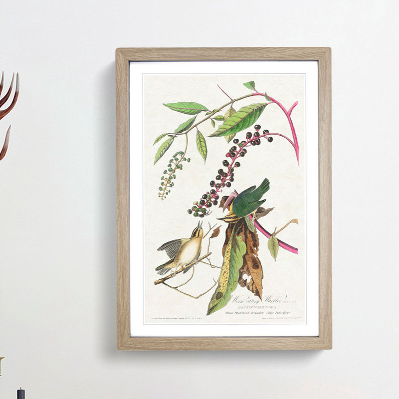 Two Warbler Birds by John Audubon - Picture Frame Painting Print, Oak Framed, 48cm H x 36cm W x 2cm D