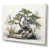 Toile tendue