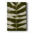Organic Bloom VI -Gallery Wrapped Cavas