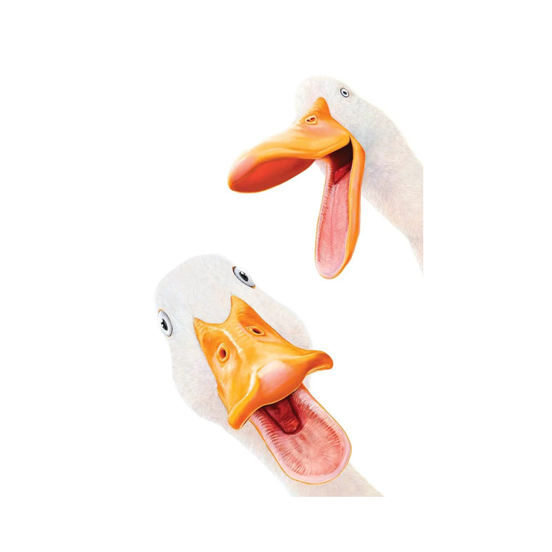 «Funny Ducks», reproduction d'art sur toile tendue, 26" x 18", Gallery Wrapped Canvas, No Frame