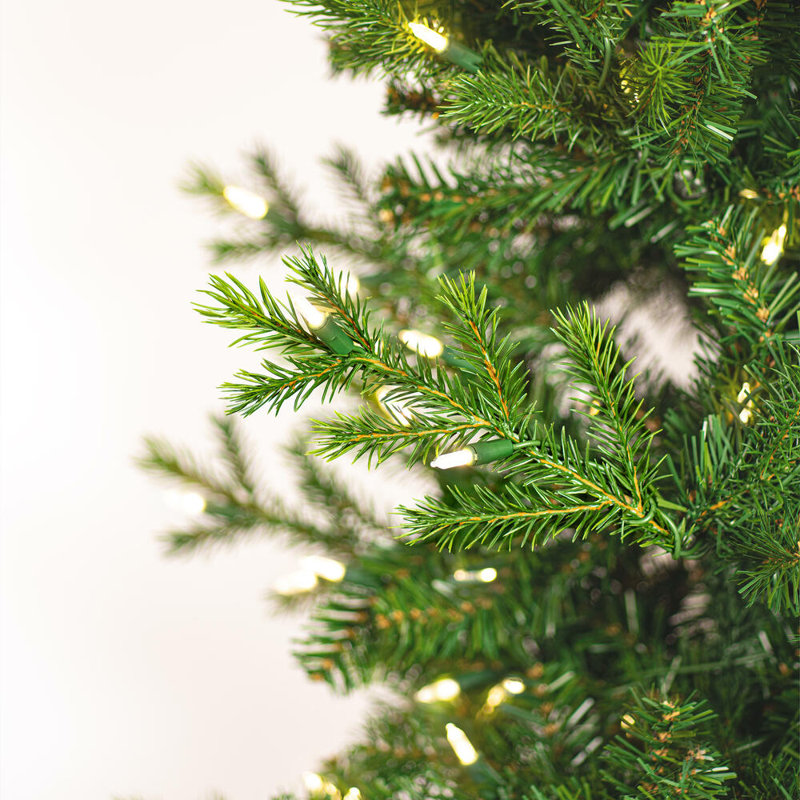 Vickerman Moutauk Pencil Pine Artificial Christmas 14' H Lighted Artificial Pine Christmas Tree