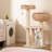 Cortny Cat Perch-686271411