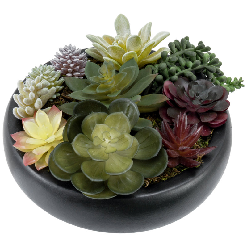 Arrangement de plantes grasses artificielles en pot de ciment