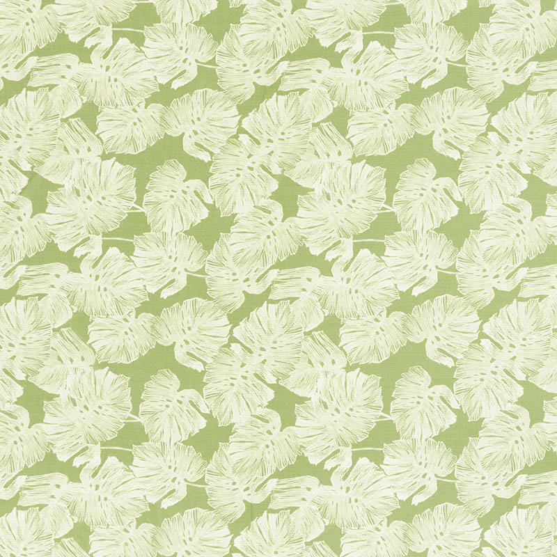 Del Coco Sheer Fabric, Green