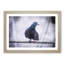 Pigeon Bird On A Wire - Single Picture Frame Painting on MDF-56633436-56633437