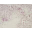 Hand-Knotted High-Quality Beige Area Rug