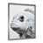 Silver Single Picture Framed