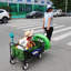 Chariot de plage pliant Wagon Garden (vert)