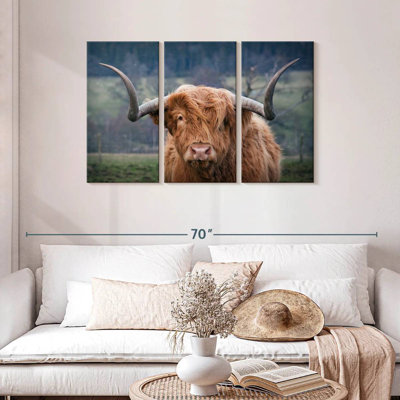 Brampt Wooly Highland Cow